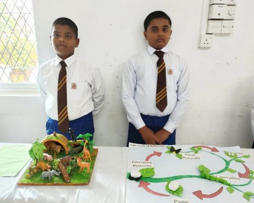 489737315_1263435959119447_4569828221611141241_n